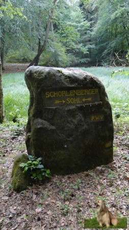 Ritterstein Nr. 176-2 Schorlenberger Sohl.JPG - Ritterstein Nr.176 Schorlenberger Sohl